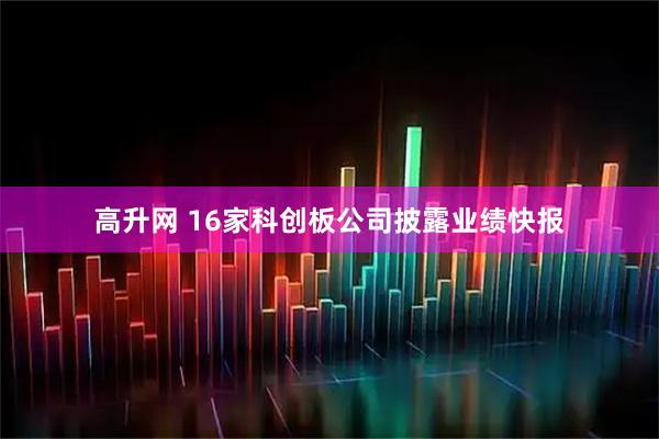 高升网 16家科创板公司披露业绩快报